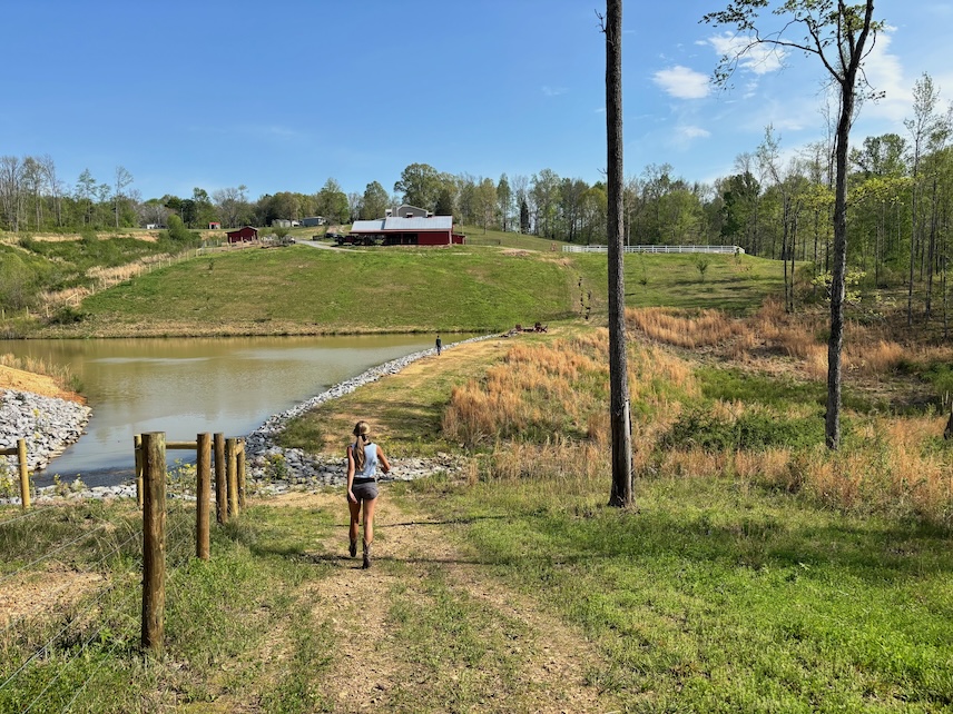 The Farm - Dogwood Sprimgs Farm & Cabin